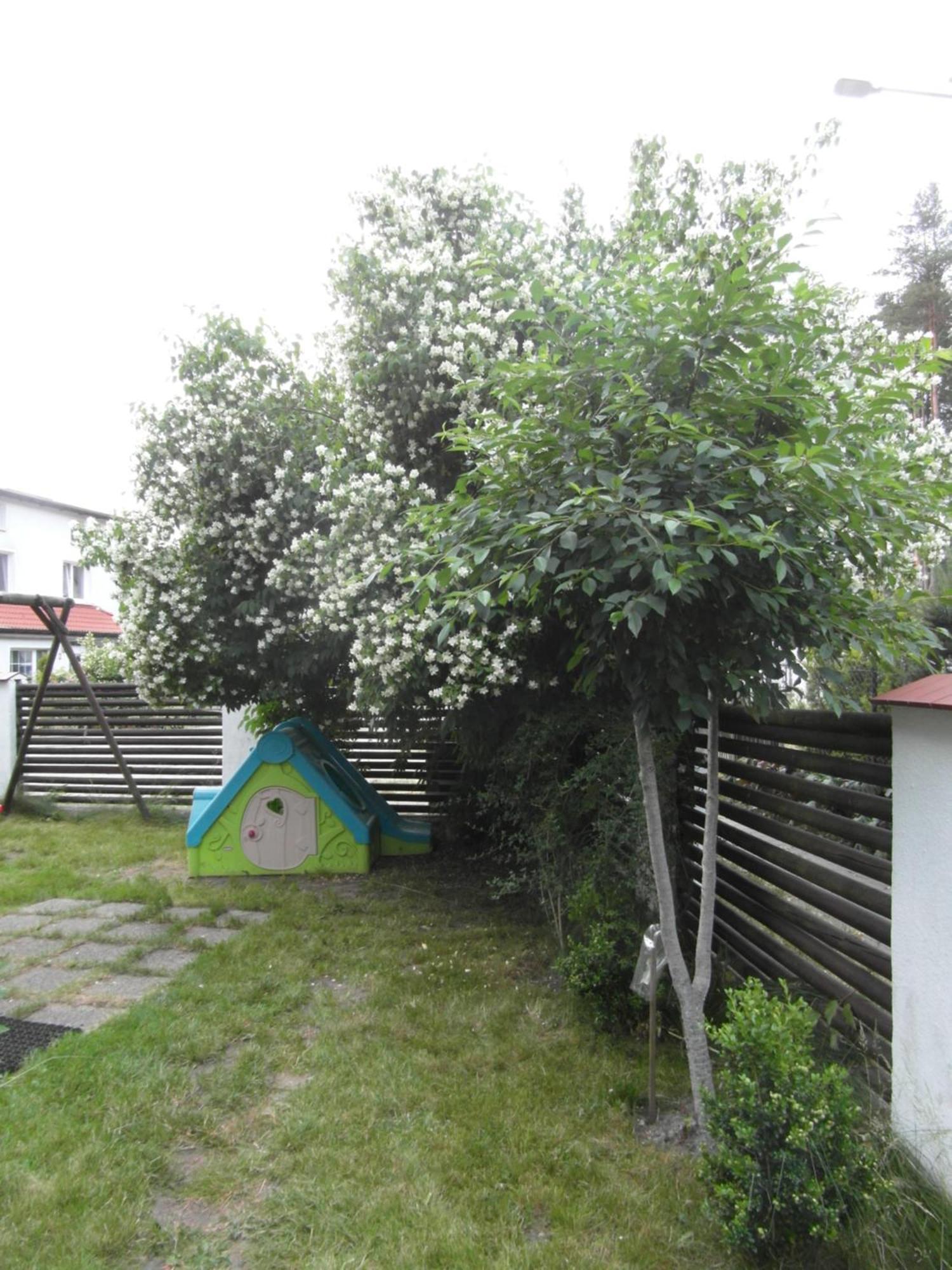 Villa Banita Устка Екстер'єр фото